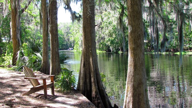 A wooden dock with a chair, surrounded by trees and a calm water body. - Yearling Restaurant and Cabins (Hawthorne)