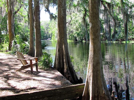 View from property. Yearling Restaurant and Cabins