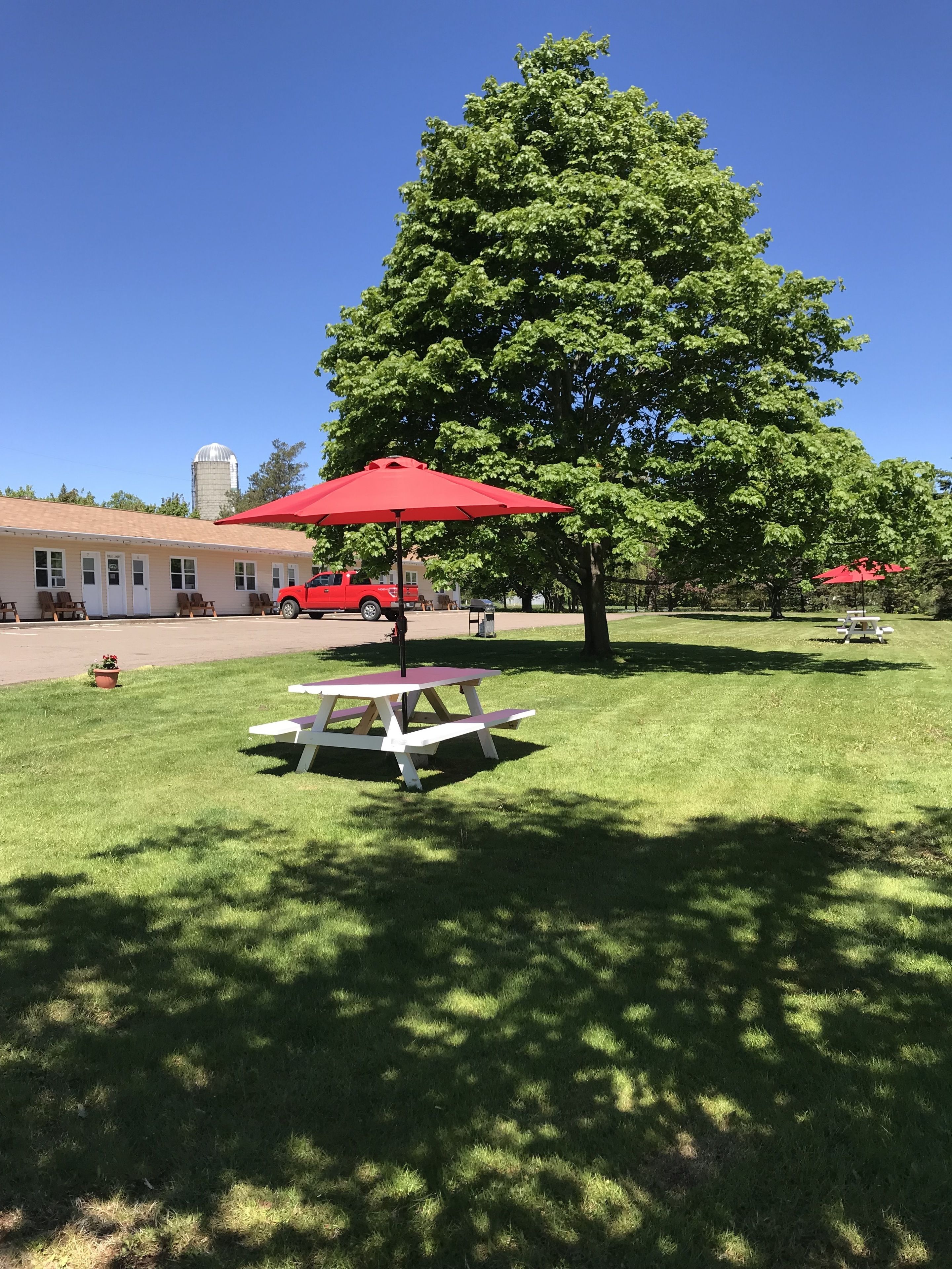 A picnic area with a table and chairs, a red umbrella, and a large tree.