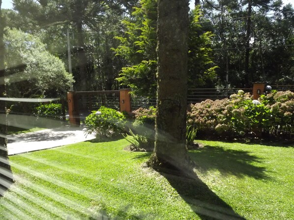 Vista desde la propiedad