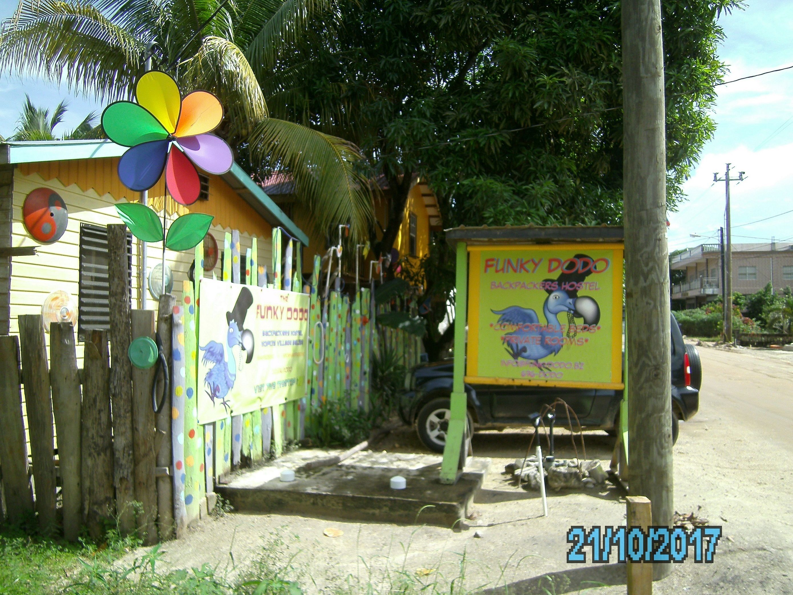 Un espacio al aire libre y colorido con un letrero para 'Funky Dodo Backpackers Hostel' que muestra un dibujo animado de un pájaro.