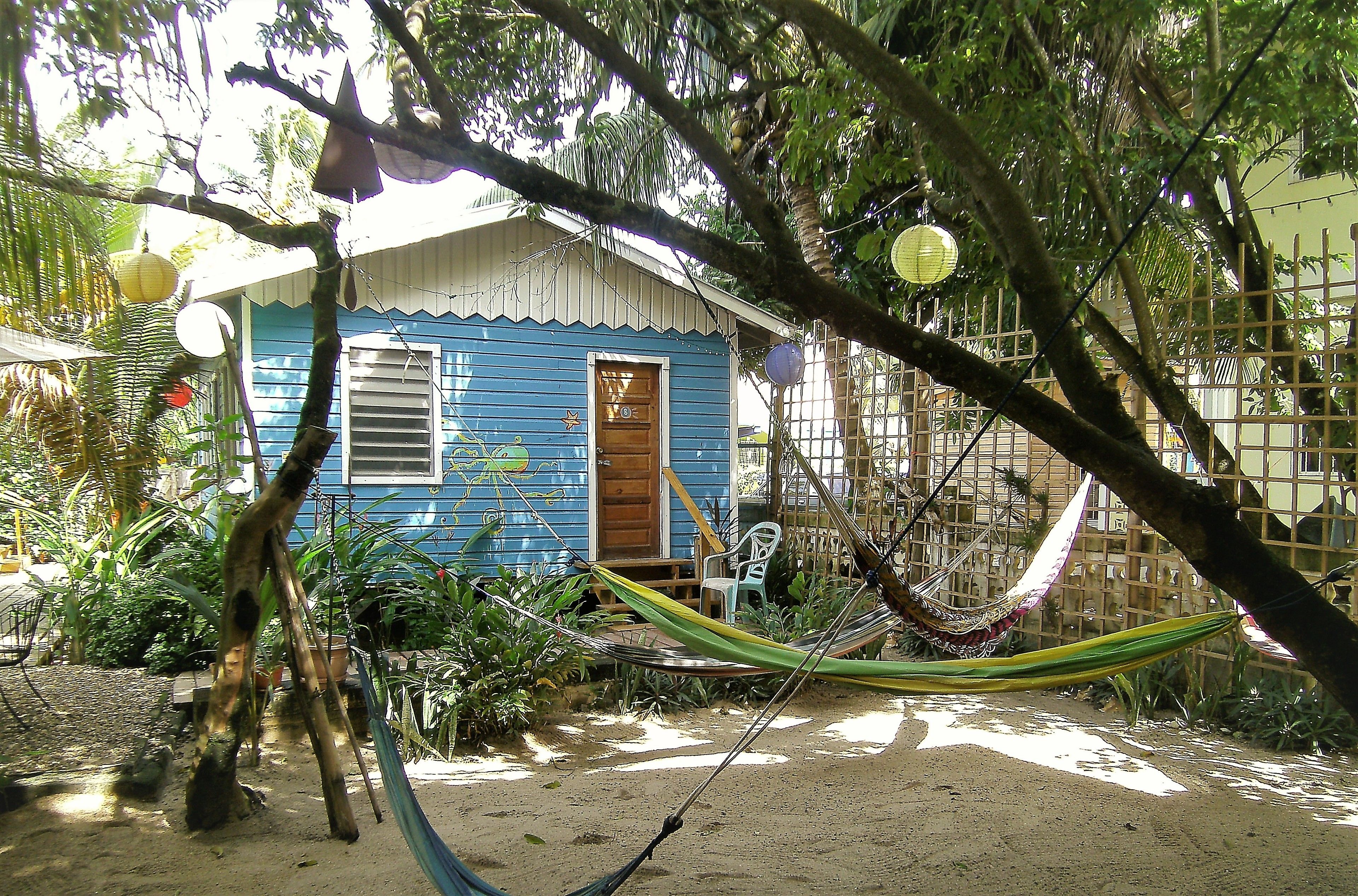 Una casa azul con puerta de madera, rodeada de follaje y una hamaca.