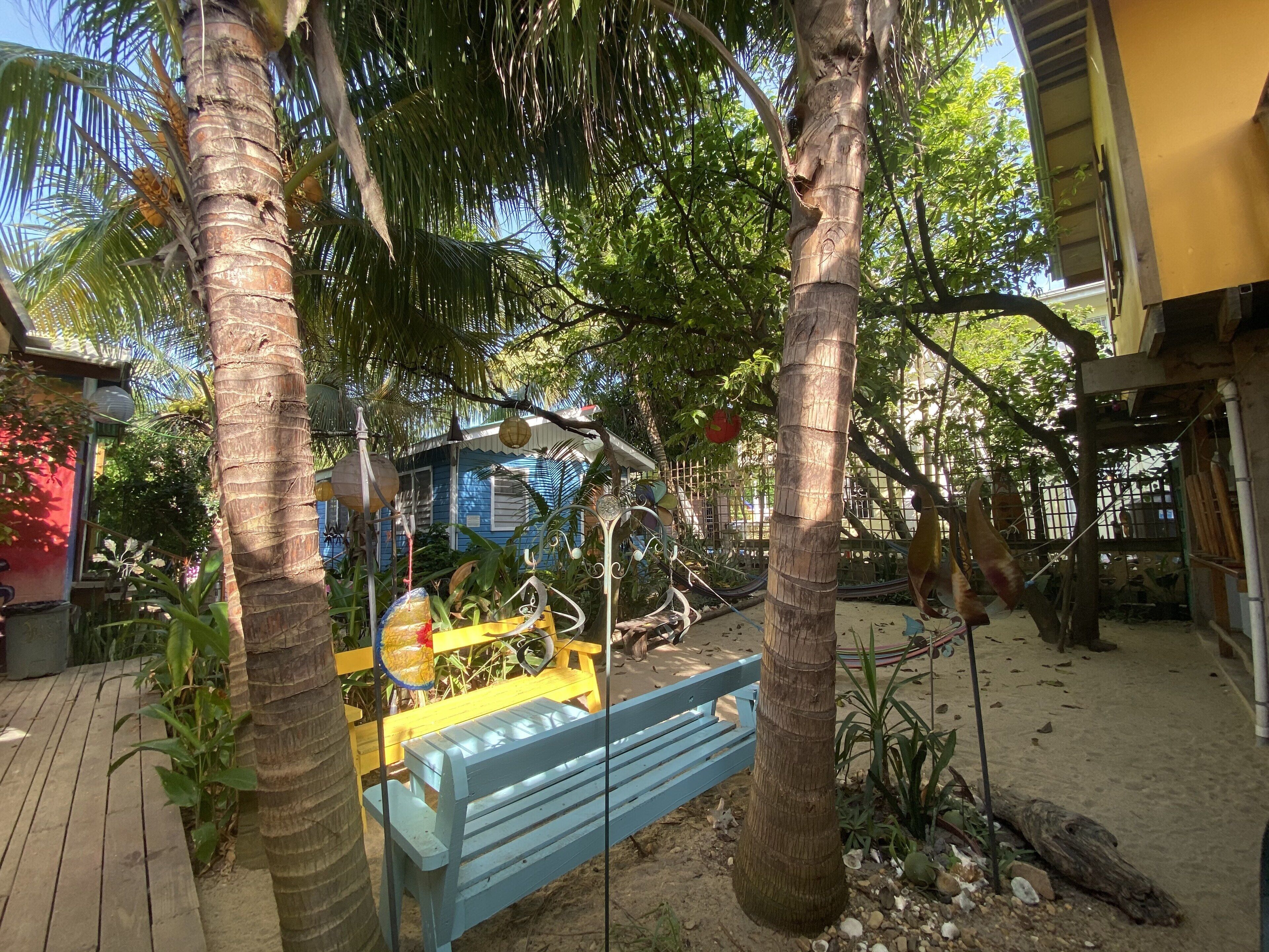 A wooden deck with a blue bench, surrounded by palm trees and a fenced area with a blue building in the background.