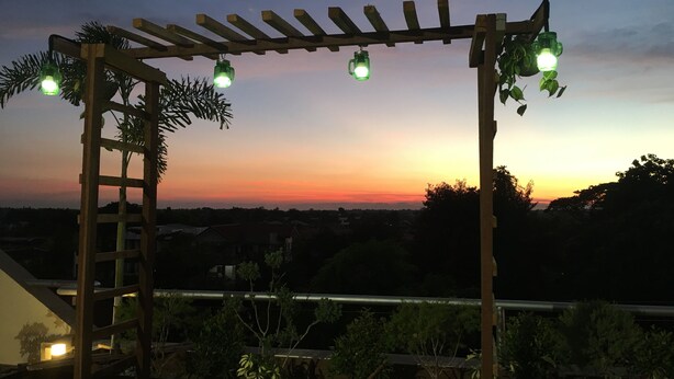 Una pérgola de madera con luces verdes y plantas, con vistas a una zona residencial al atardecer.