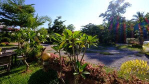 A garden with various plants and a wooden bench. - Huenhimphu Resort (Phu Phan)