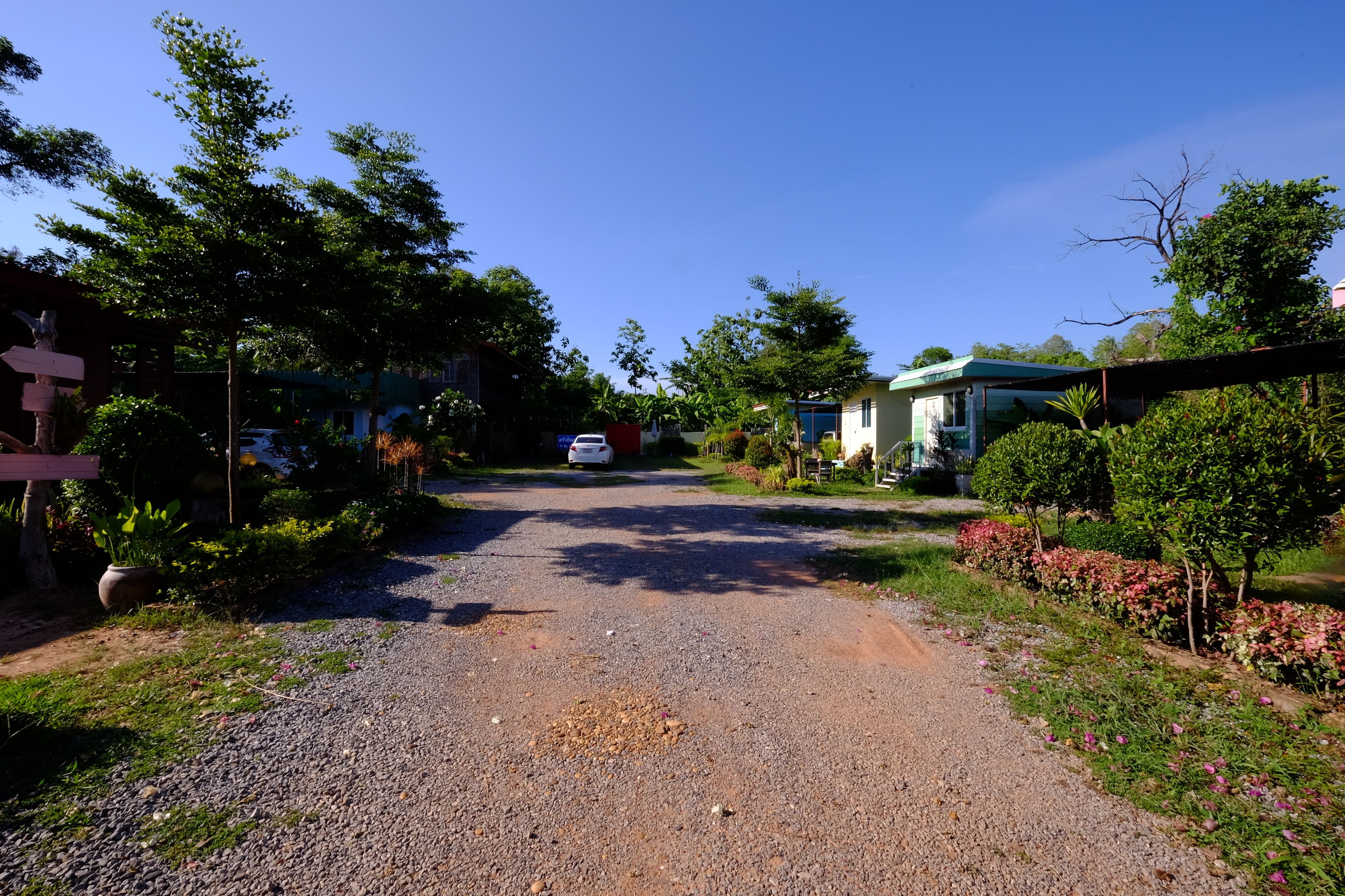 A gravel driveway leading to a house with a blue roof, surrounded by greenery and a parked car.