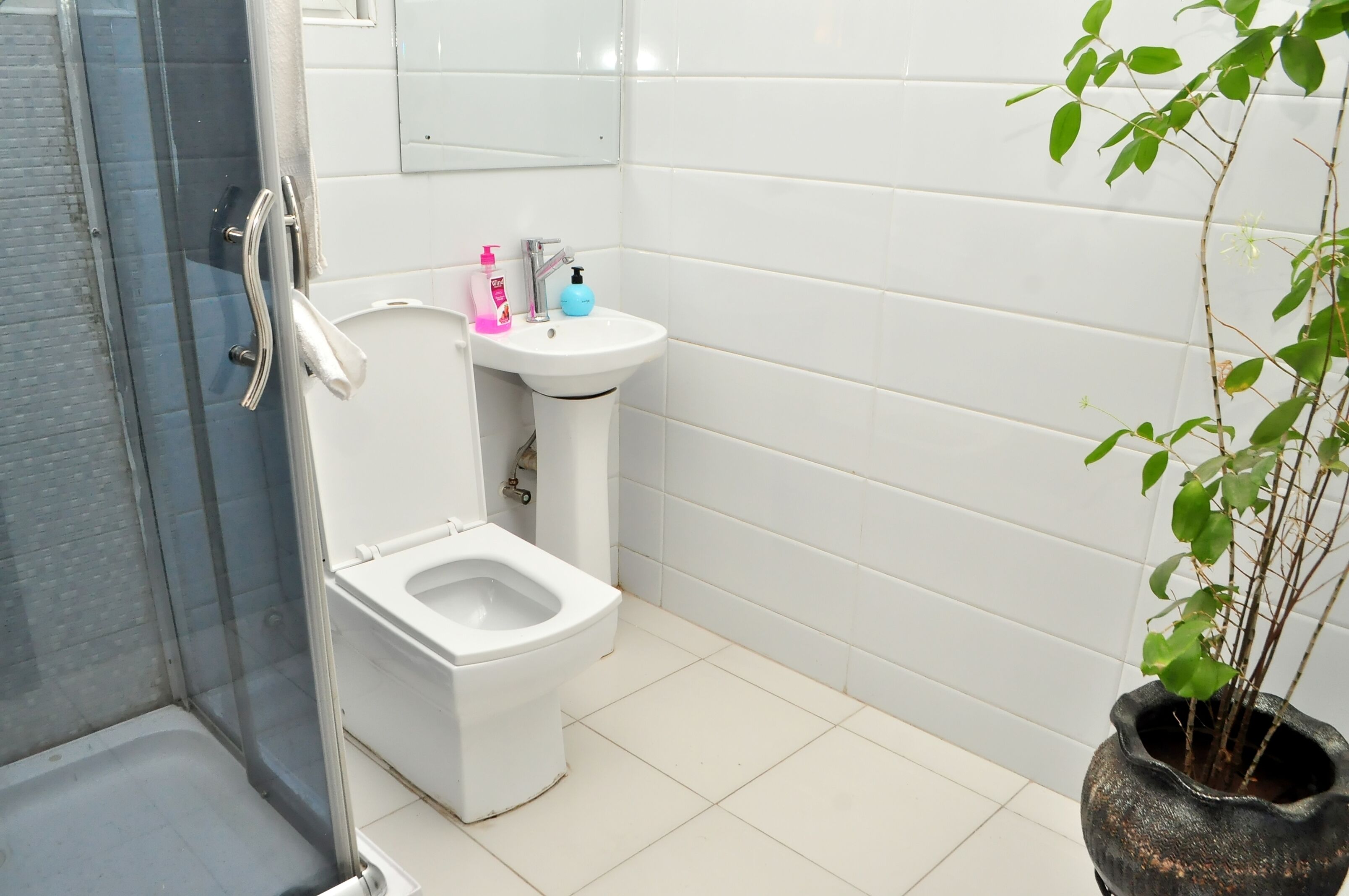 A bathroom with a toilet, sink, and shower.