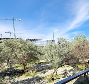 家庭公寓, 1 间卧室, 庭院景观 | 庭院景观