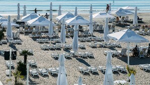 Een strand met rijen witte ligbedden en parasols, waarvan sommige het merk 'PERONI' dragen.