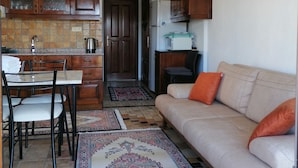 Un espace de vie compact comprenant un coin cuisine, un coin repas avec une table et des chaises, un canapé avec des coussins et un tapis à motifs.
