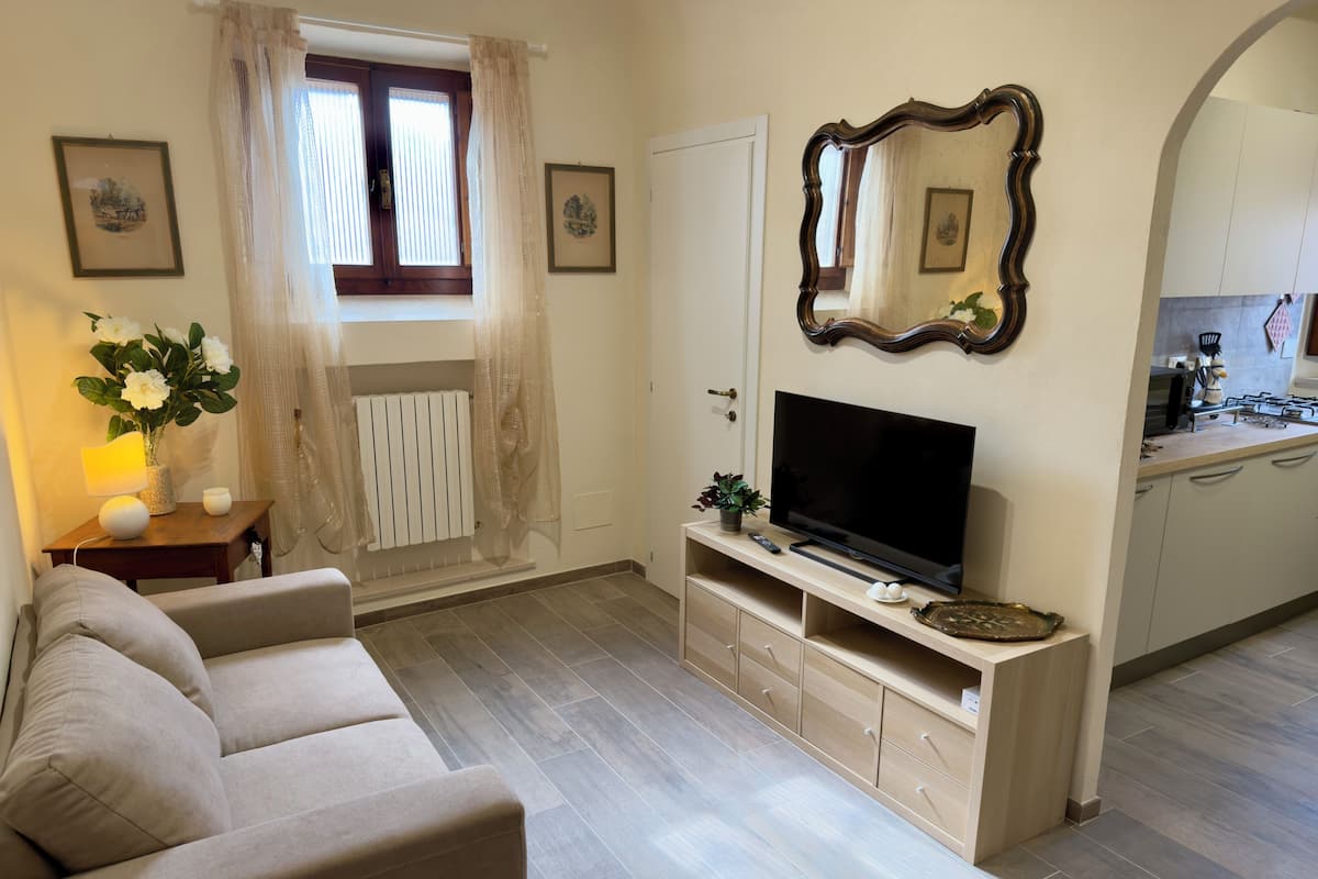 A living room with a sofa, TV, and a kitchen area in the background.
