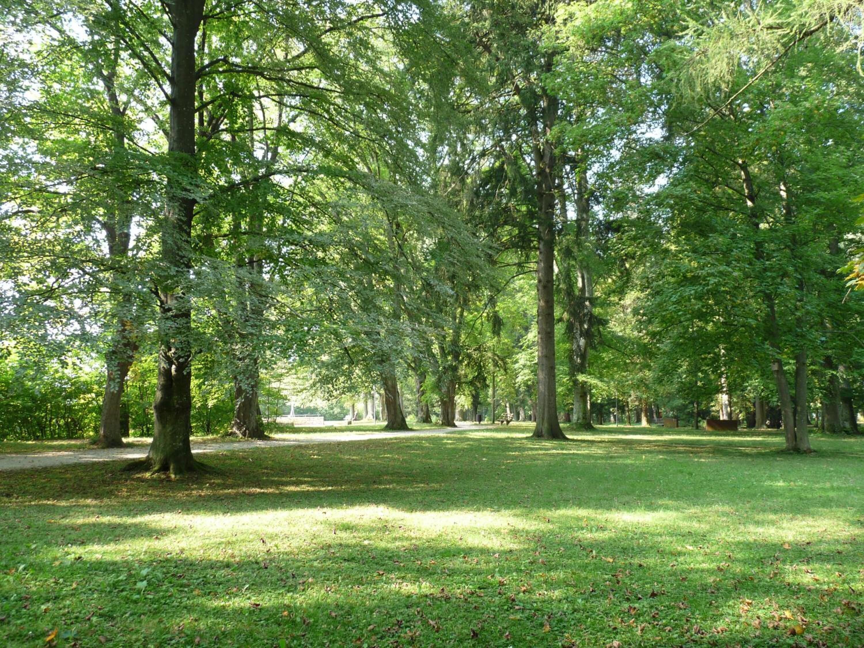 A park with tall trees, a grassy area, and a pathway.