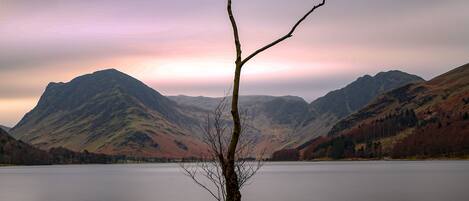 Un arbre isolé se dresse dans un paysage montagneux, au bord d’un lac paisible.