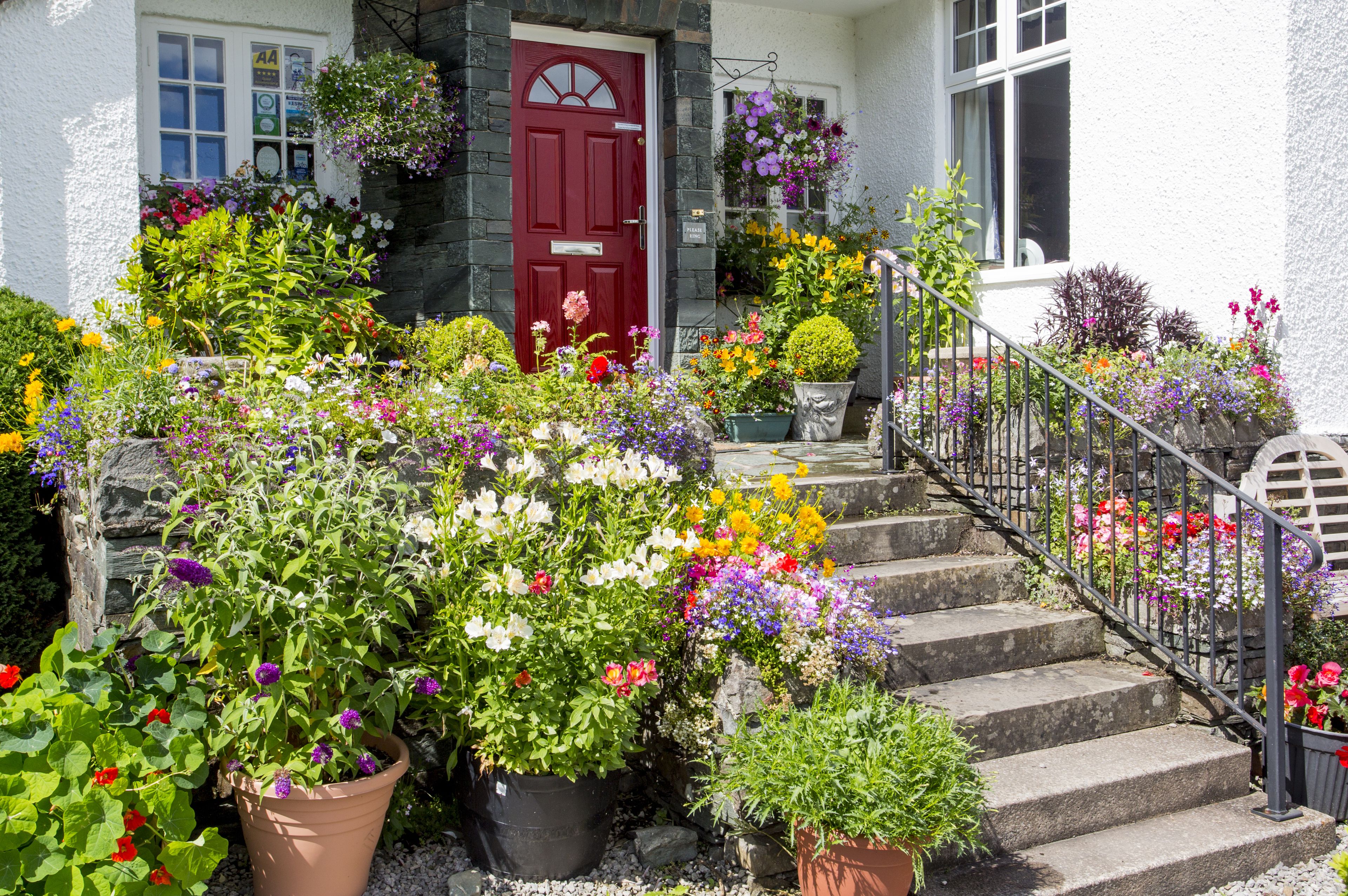 A house with a red door, a stone staircase, and a variety of potted plants and flowers.