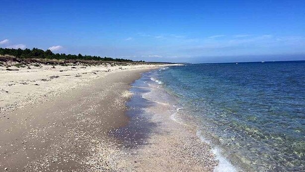 Una playa con agua cristalina, orilla arenosa y un horizonte lejano.