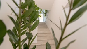 A staircase with a handrail, surrounded by green plants. - B&B Marsala (Marsala)
