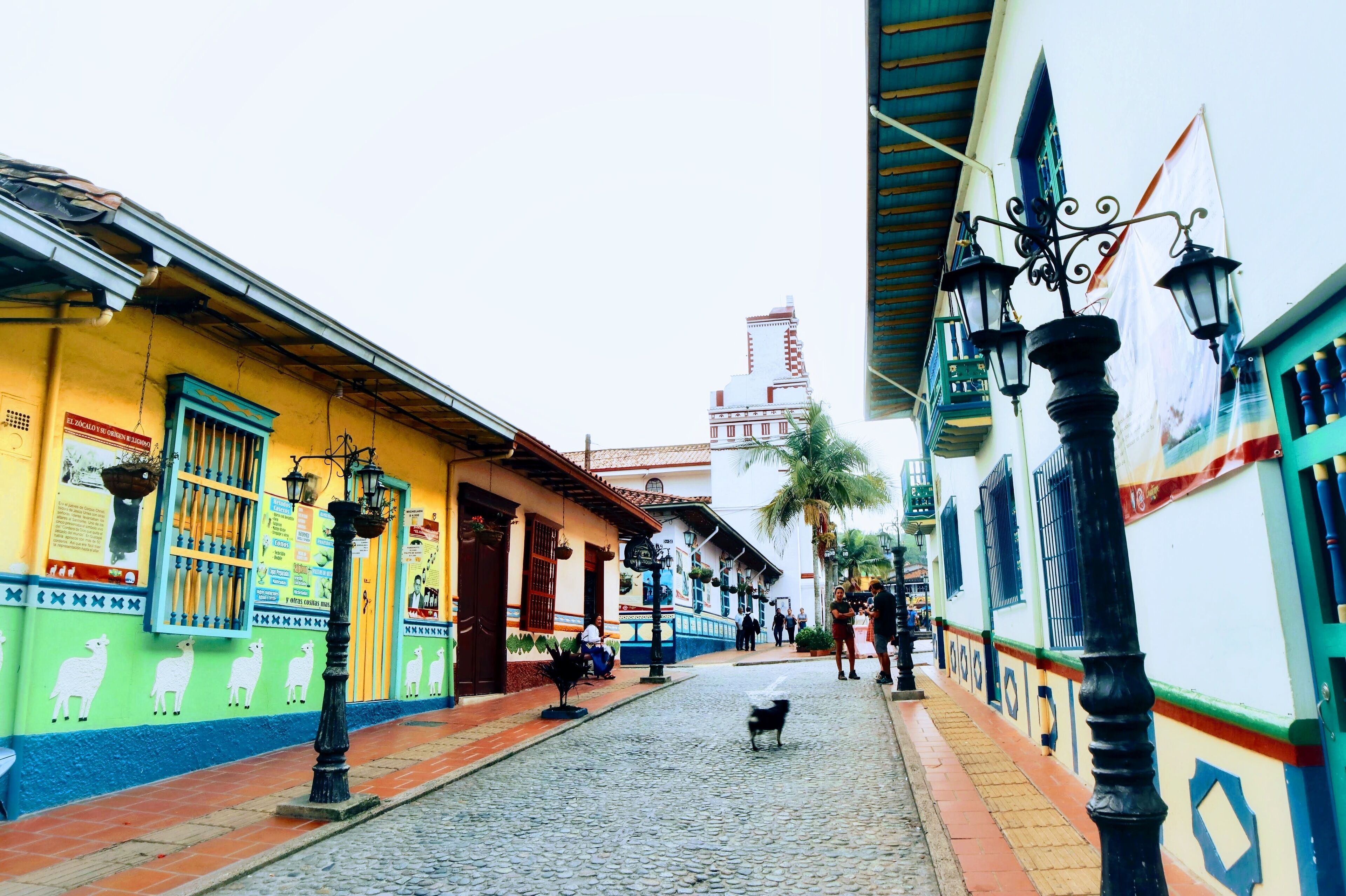 Una calle adoquinada flanqueada por edificios de colores, un perro caminando por el sendero y una torre al fondo.