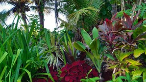 Jardín