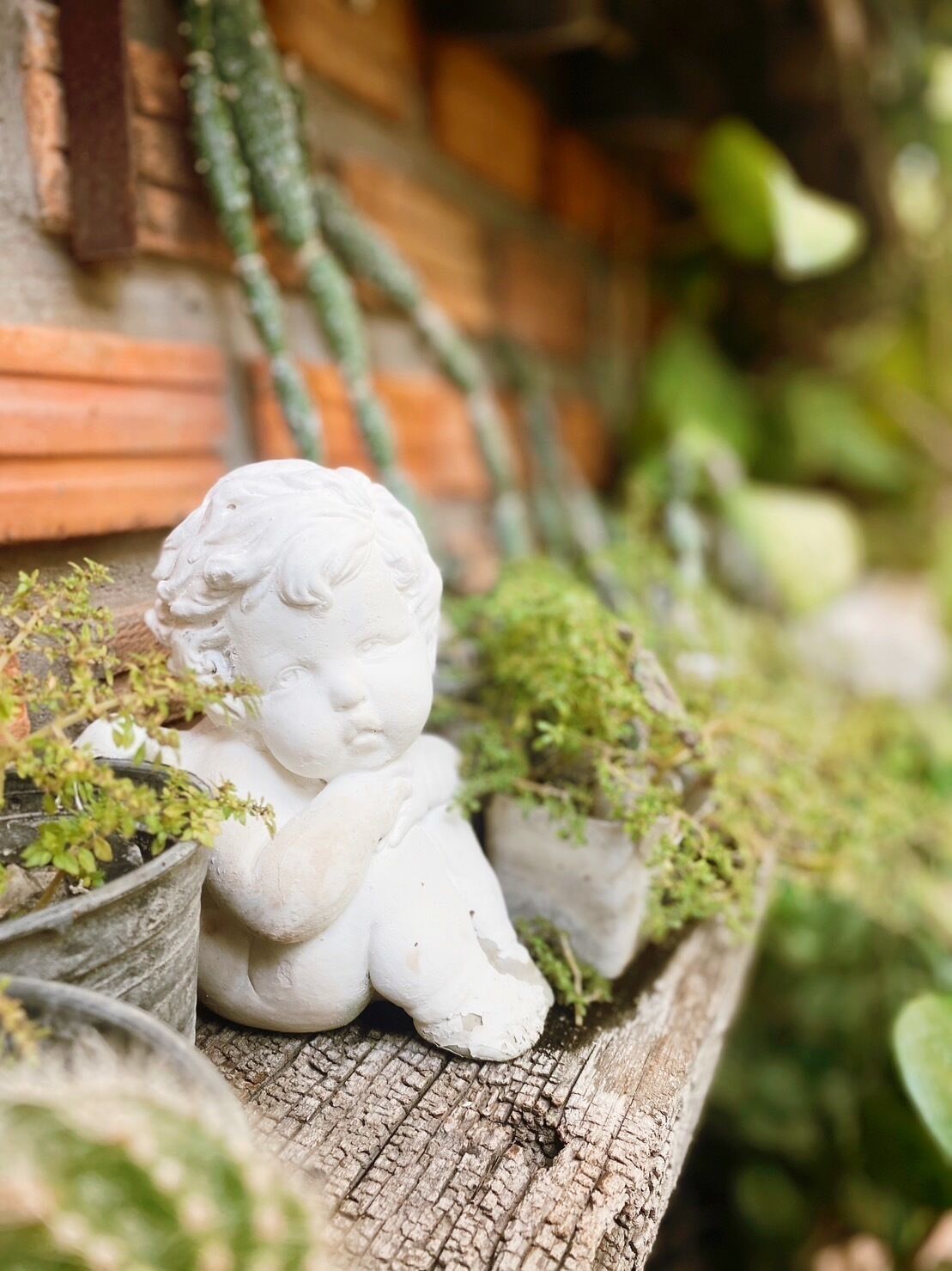 Eine weiße Statue eines Kindes mit Locken, platziert auf einem hölzernen Ablagebrett, umgeben von Topfpflanzen.