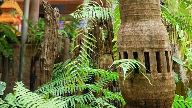 Um jardim interno exuberante com diversas plantas e uma estrutura rústica de madeira.