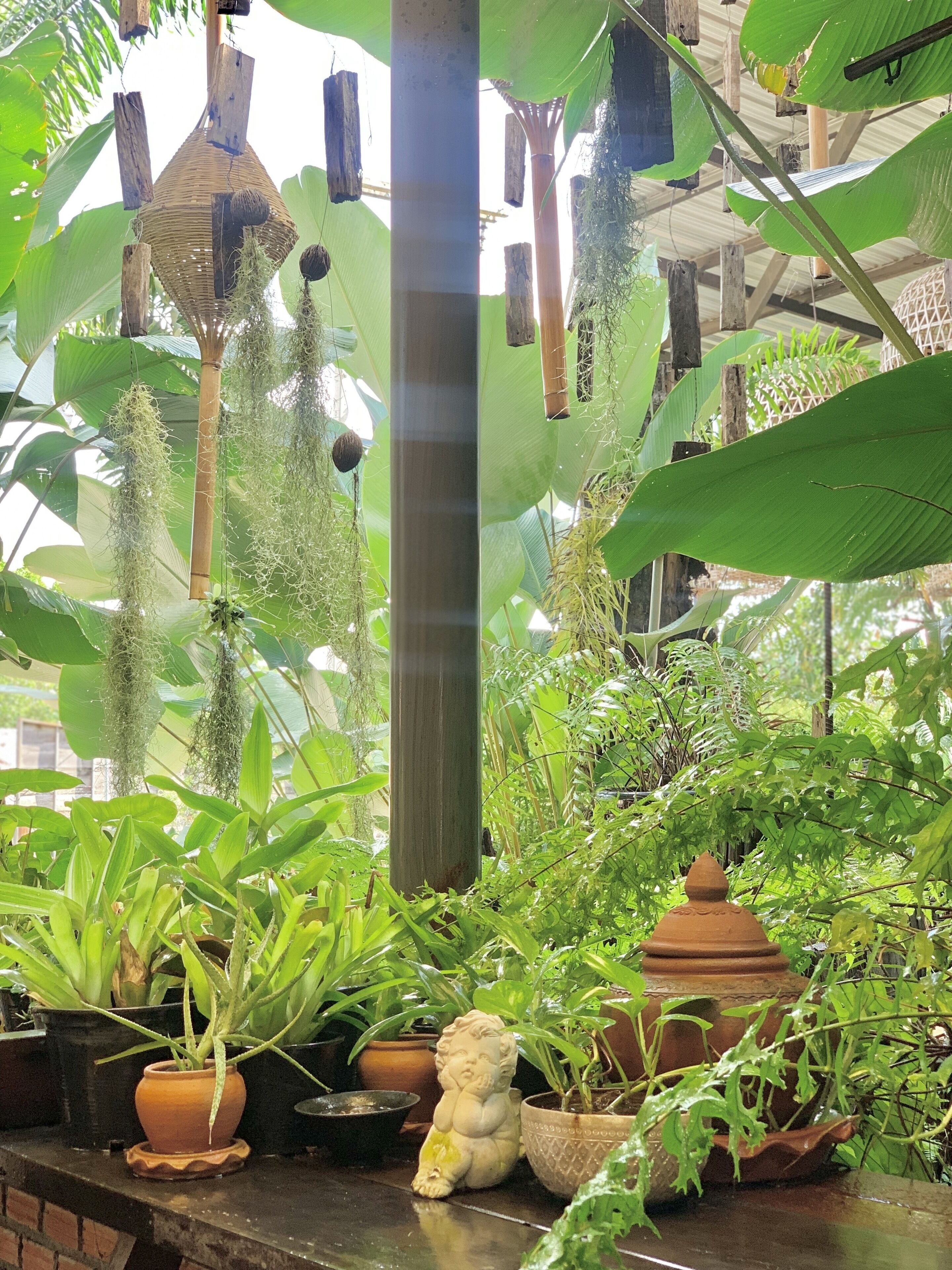 A lush indoor garden with various plants and hanging baskets.