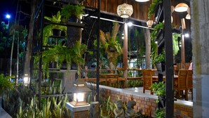 Jardim interno com mobiliário de madeira, plantas em vasos e luminárias pendentes.