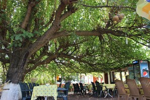 Breakfast, lunch and dinner served - Alibaba Pension (Kemer)