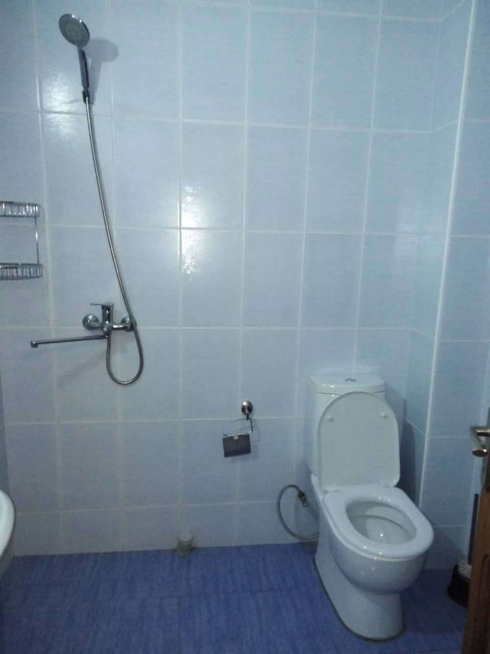 Un baño con inodoro, ducha y bidé.
