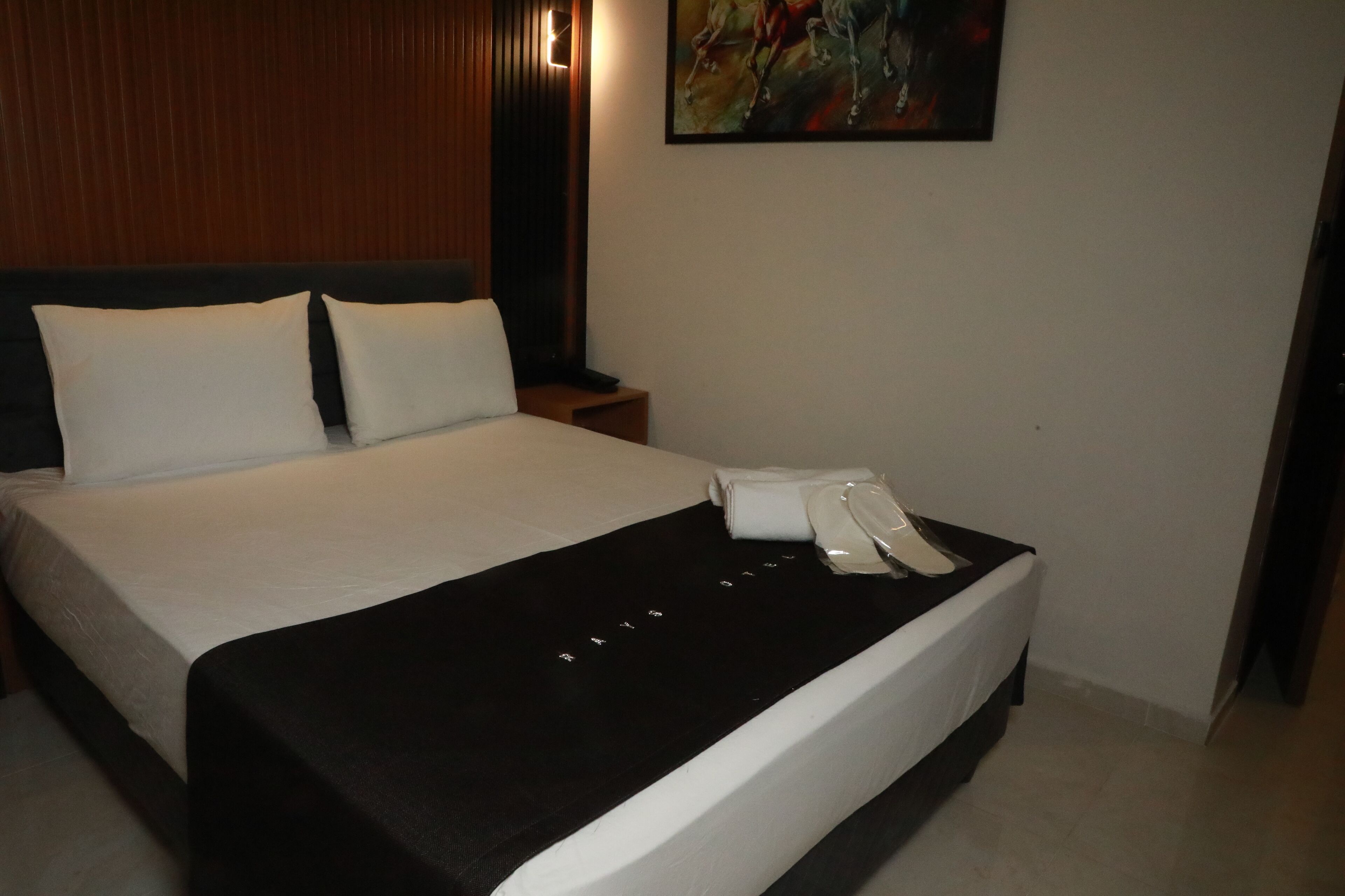 Photo - Rays Hotel - Bakirkoy Istanbul City Center