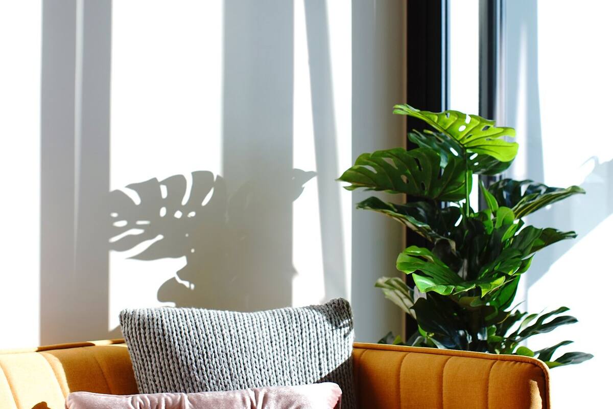 premium apartment | living room | led tv