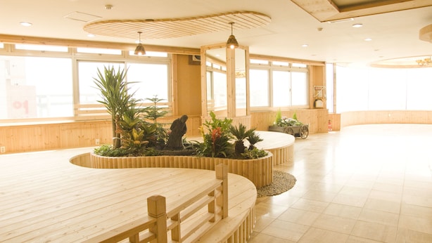A spacious indoor area with wooden flooring, a long table with benches, and a variety of potted plants. - The Blue Guesthouse - Hostel (Busan)