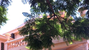 Un edificio con balcón, una motocicleta estacionada en la entrada y un árbol que da sombra.