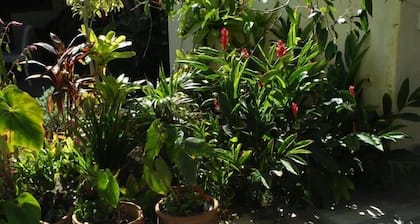 Pousada Alto da Pontinha