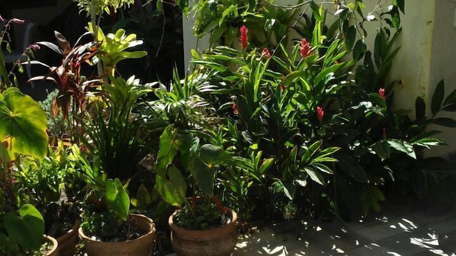 Pousada Alto da Pontinha