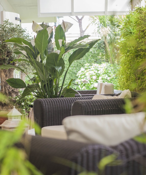 Garden - Hotel Dany (Massa)