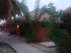 Economy Double Room Single Use, 1 Bedroom, Non Smoking, Ocean View | 1 bedroom, hypo-allergenic bedding, Select Comfort beds, bed sheets