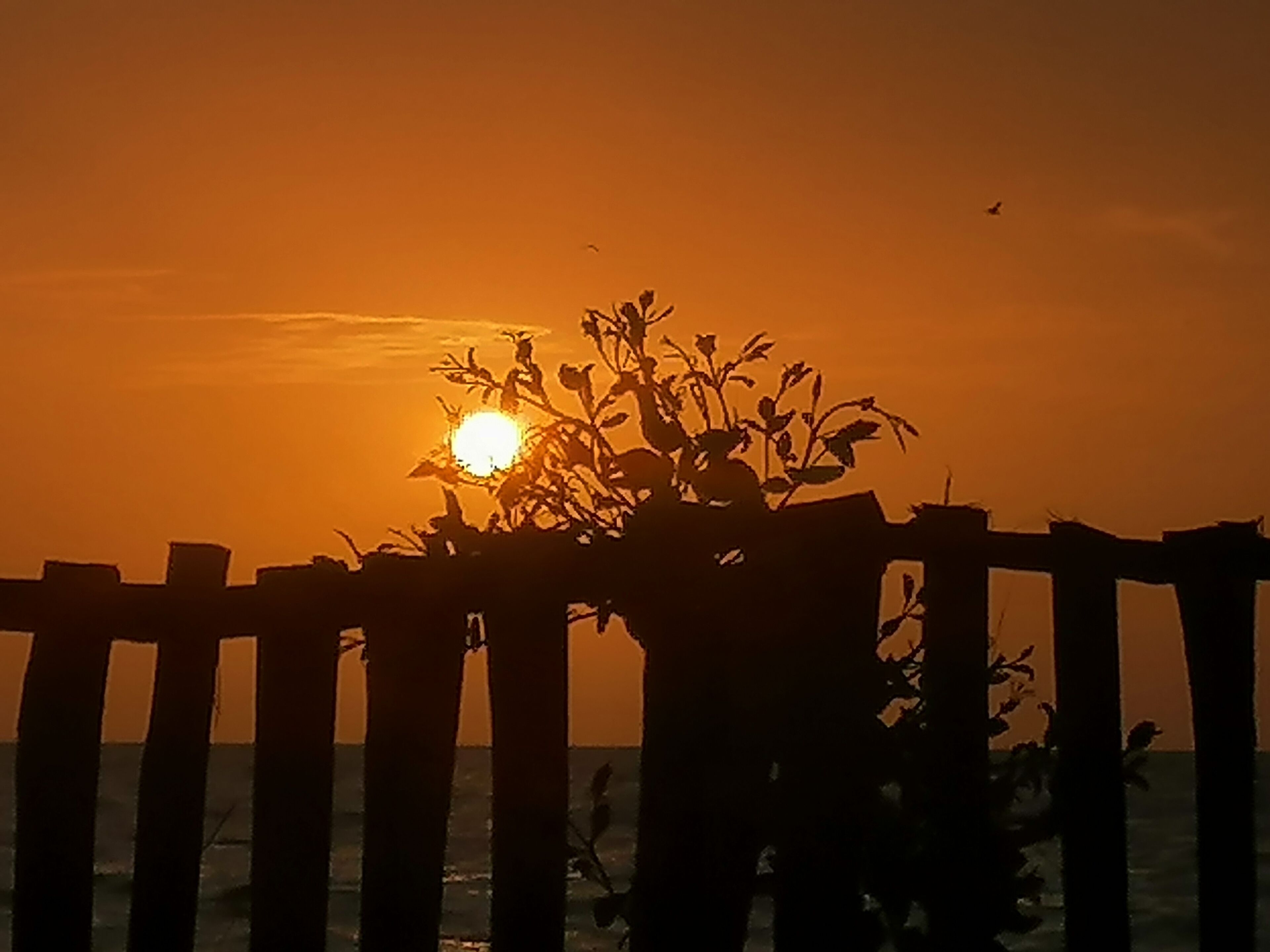 A sunset over a body of water with a wooden fence in the foreground.