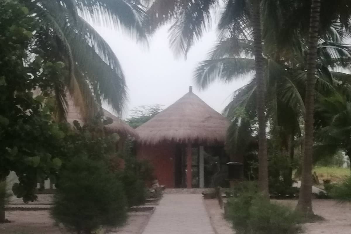 Un sendero que lleva a una construcción de techo de paja rodeada de palmeras.