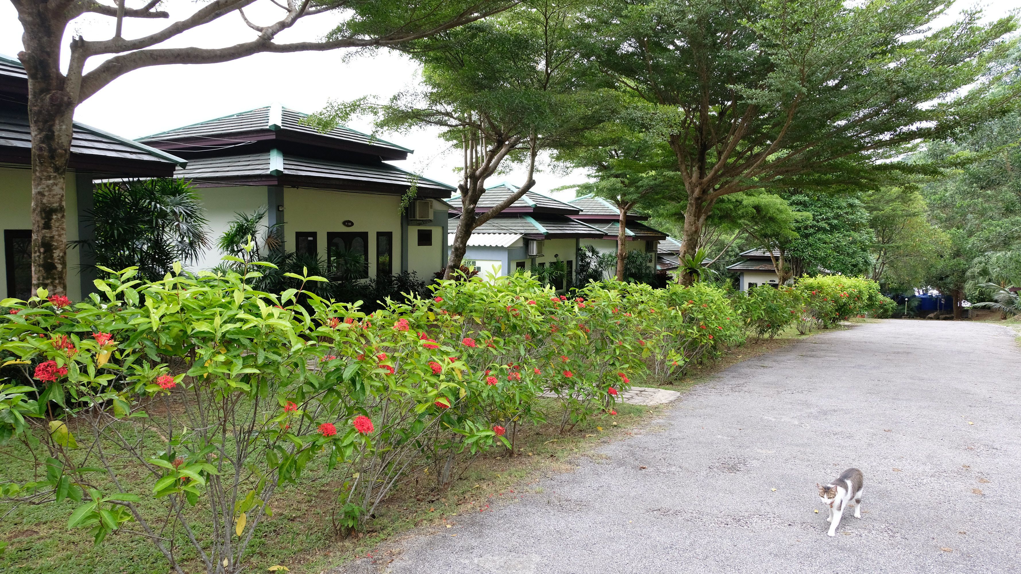 Foto - Khaolak Hillside Villa