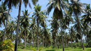 บริเวณที่พัก