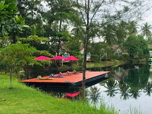 Pemandangan dari properti