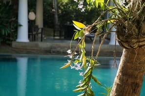 A pool with clear blue water, surrounded by lush greenery and a white column structure in the background.