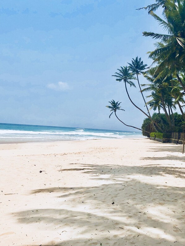 Playa en los alrededores, toallas de playa, buceo y kayaks