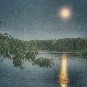 A nighttime scene with a full moon reflecting on a calm body of water, surrounded by trees.