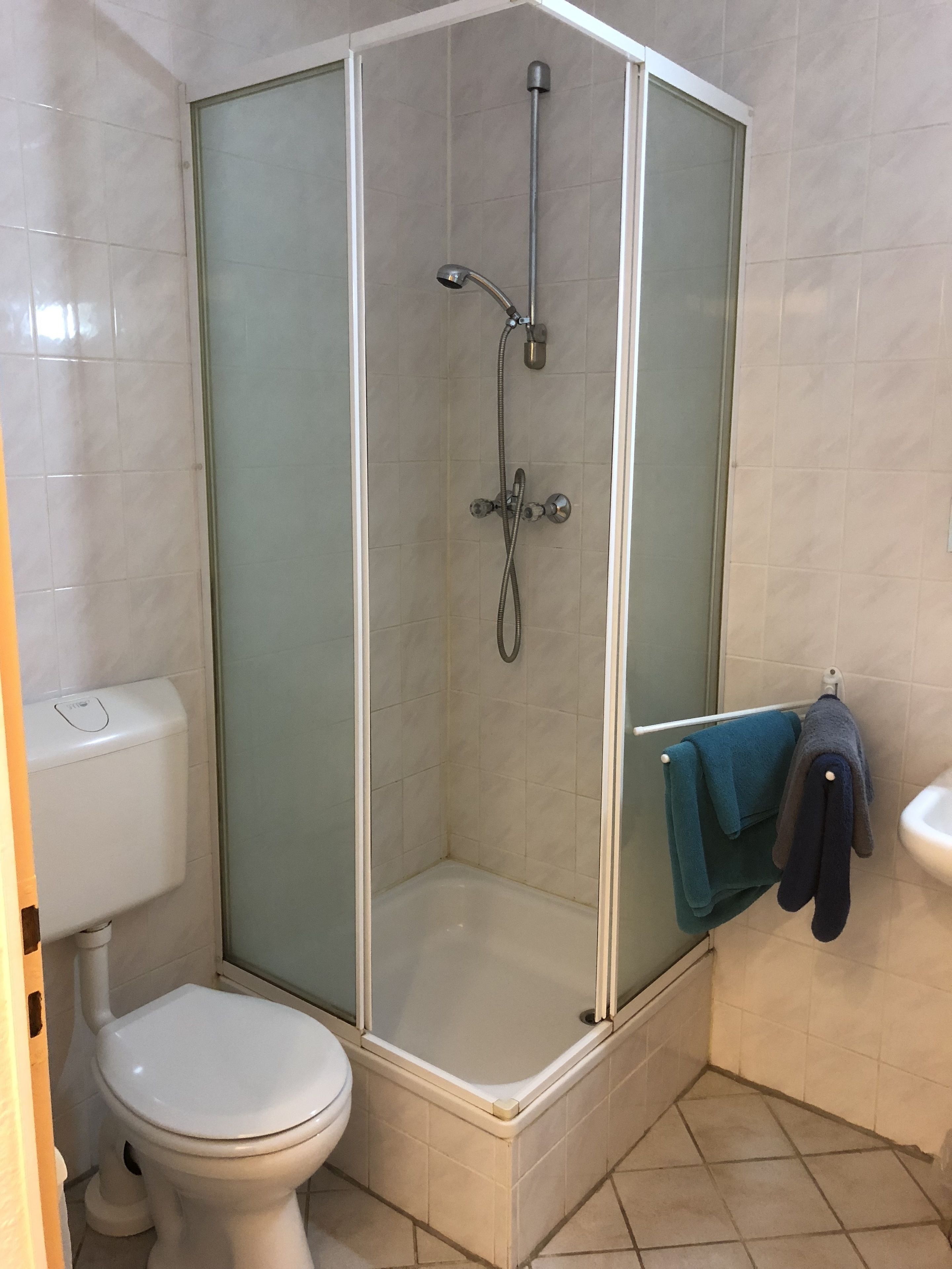 Une salle de bain avec une douche à parois de verre, des toilettes et un lavabo.