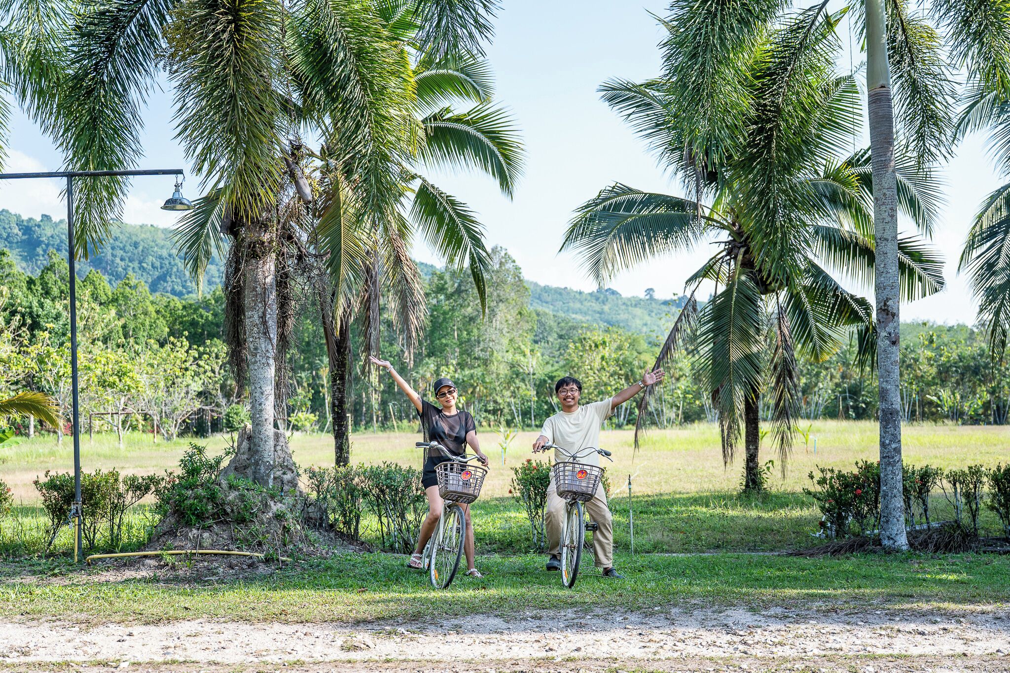 Two people on bicycles with baskets, surrounded by palm trees and greenery.