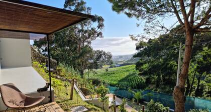 Place Of Moments Natur