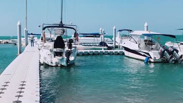 Paseos en bote