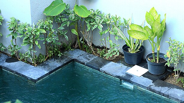 A swimming pool with surrounding potted plants and a white wall. - Sweet Corner Guest House (Denpasar)