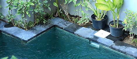 Piscine extérieure, chaises longues